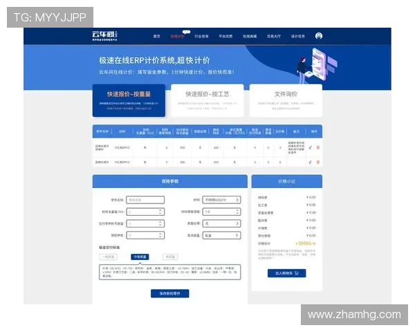 皇冠官网平台出租方案，提供一站式定制化服务满足不同客户需求