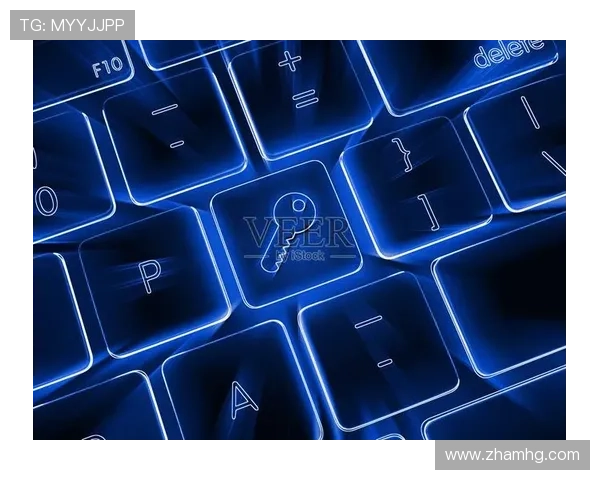 皇冠登陆安全保障，确保您的账户信息绝对安全与隐私保护