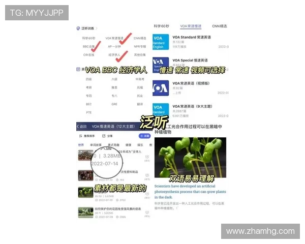 掌握皇冠手机管理端网址的最新版本更新与优化内容