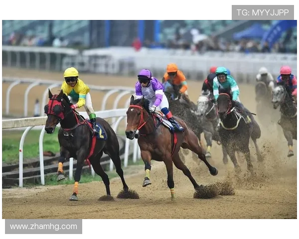 2026年赛马会地址平台官方入口导航详解确保用户安全参与线上投注