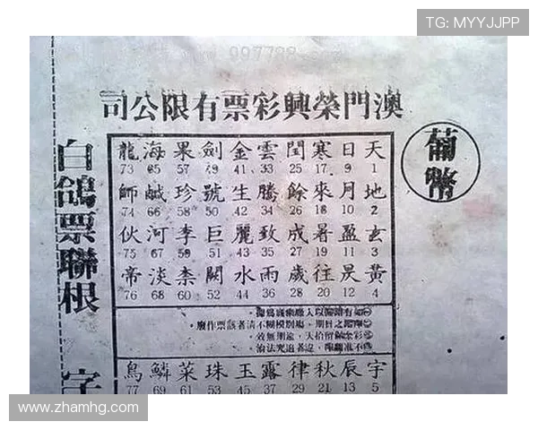 澳门六合彩国际入口正规授权,保障您的资金安全与游戏体验的最佳选择 澳门六合彩国际入口正规授权,保障您的资金安全与游戏体验的最佳选择